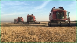 1400 ha bewasserte farm zum verkauf in Rumänien