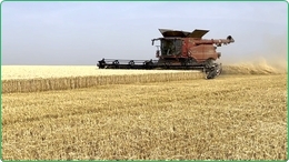 1850 ha farm zum verkauf in Rumänien