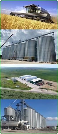 Landwirtschaft in Rumänien