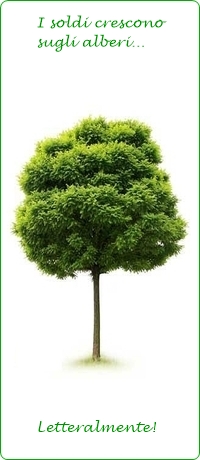 La crescita automatica è la ricchezza degli alberi!